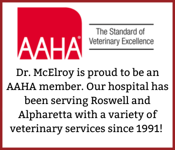 alpharetta veterinarian